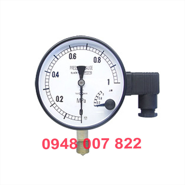 Đồng hồ đo áp suất MEPG ASK